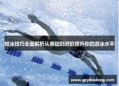 蛙泳技巧全面解析从基础到进阶提升你的游泳水平