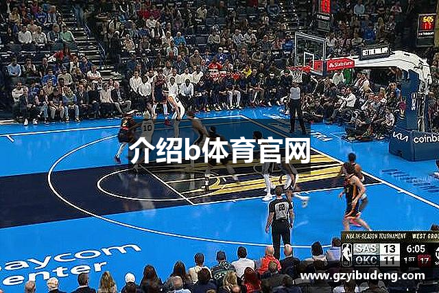 介绍b体育官网